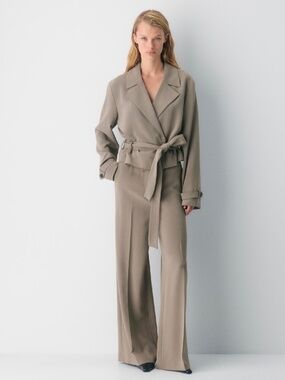 NWOT ARITZIA x BABATON - Postage Croppd Trench Coat in Sway Crepe, Small
